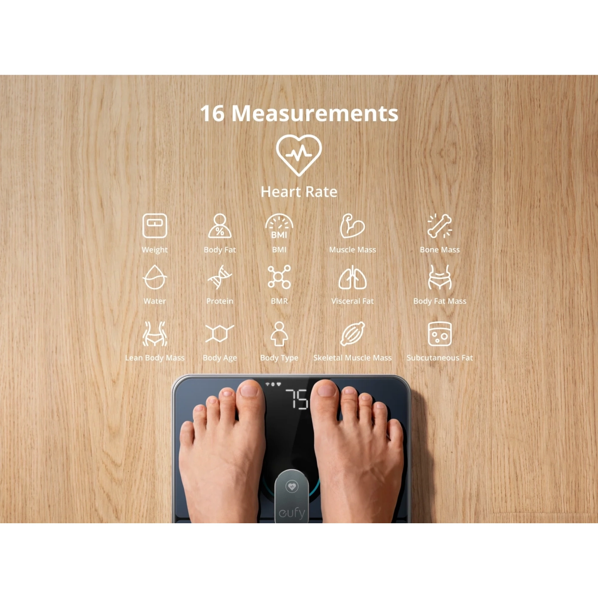 Eufy Smart Scale P2 Pro Telesna vaga